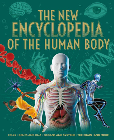 The New Encyclopedia Of The Human Body